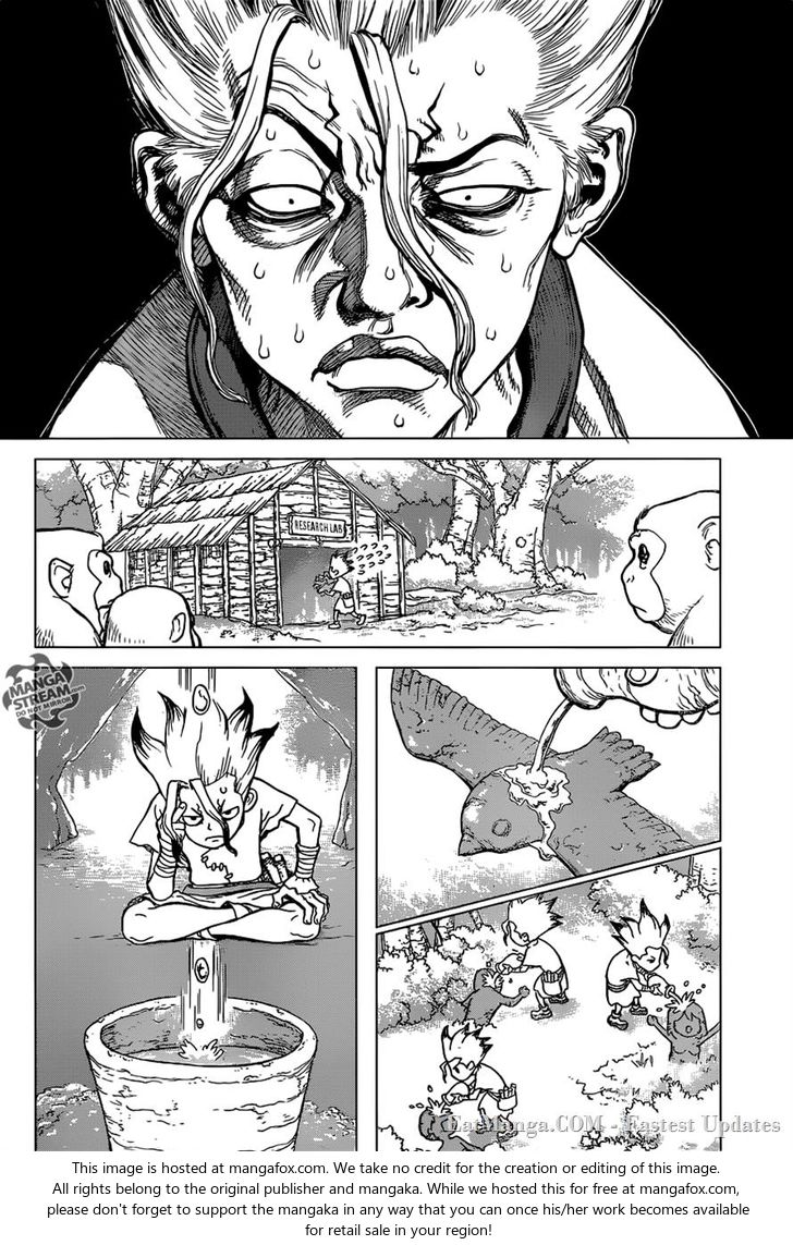 Dr. Stone Chapter 014 page 12