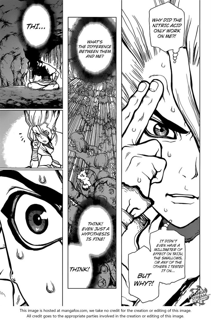 Dr. Stone Chapter 014 page 13