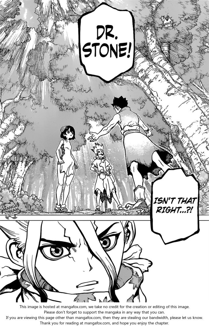 Dr. Stone Chapter 015 page 8