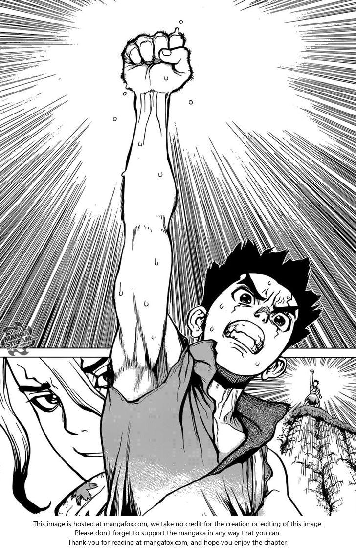 Dr. Stone Chapter 015 page 17
