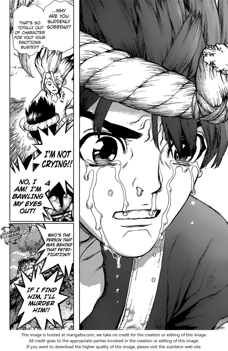 Dr. Stone Chapter 019 page 15
