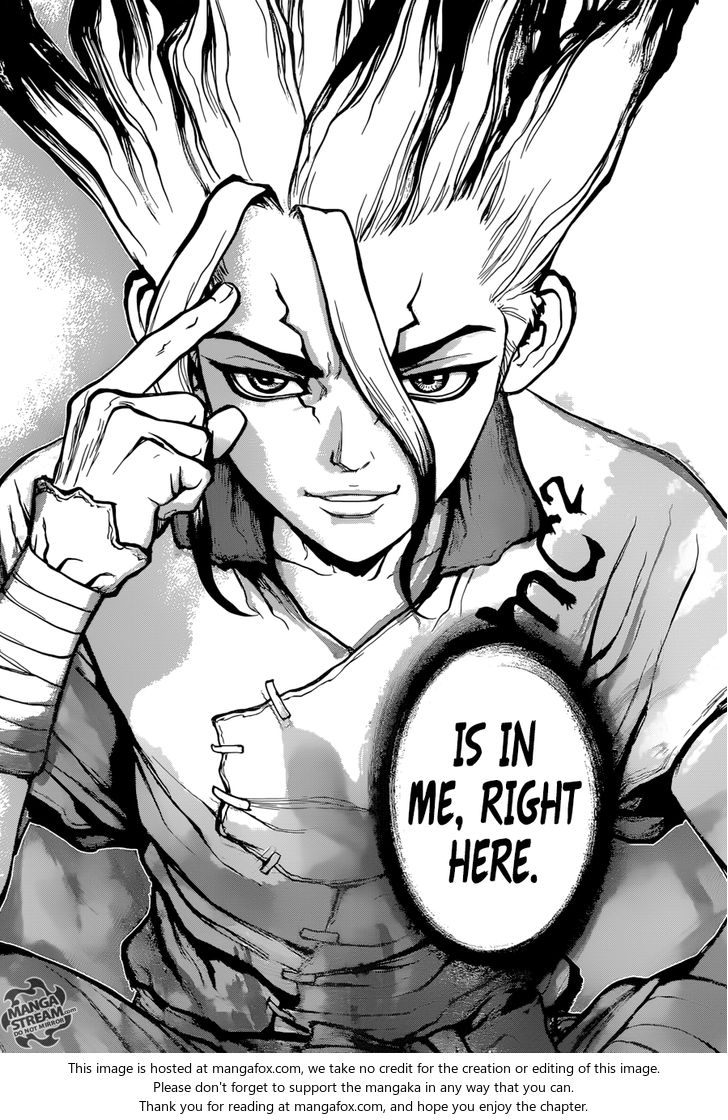Dr. Stone Chapter 019 page 17