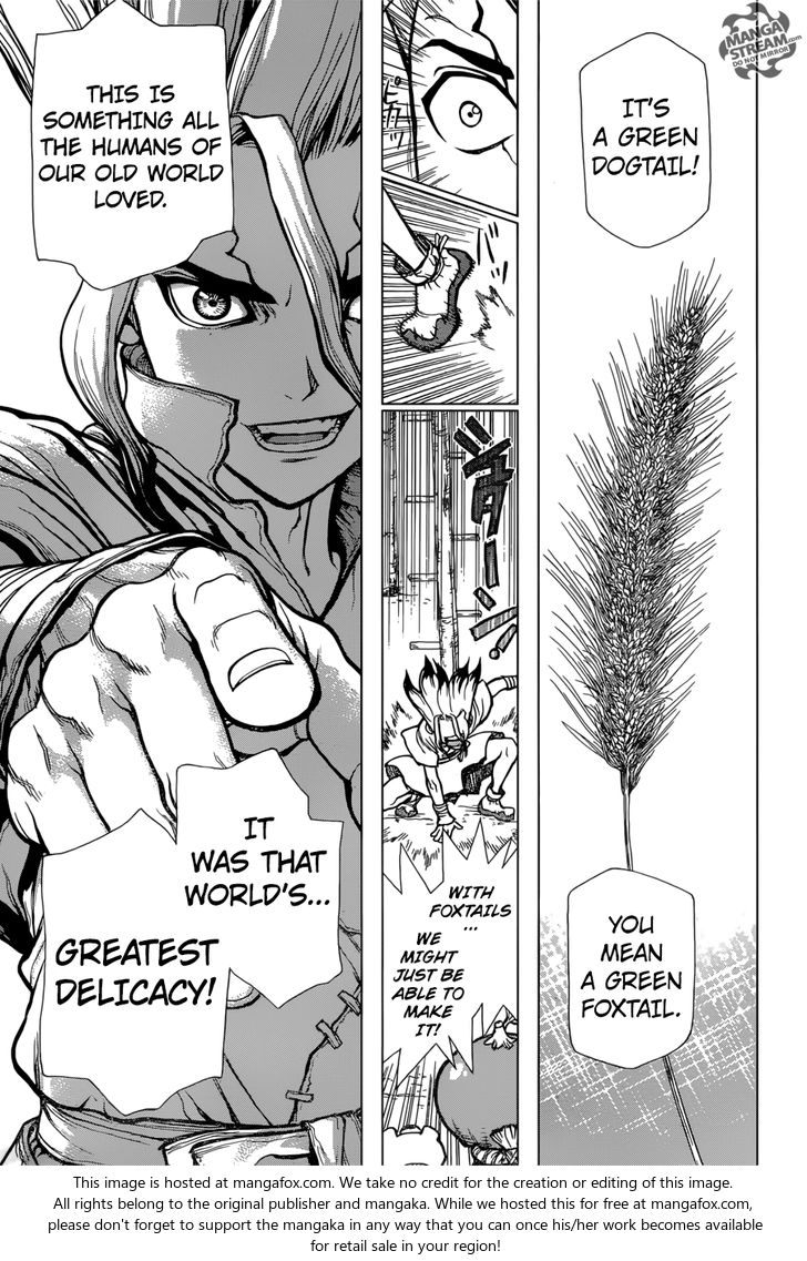 Dr. Stone Chapter 022 page 10