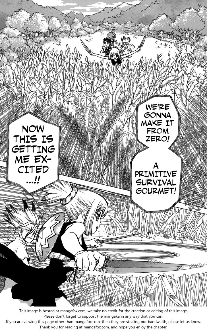 Dr. Stone Chapter 022 page 11