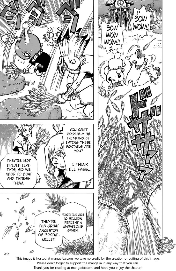 Dr. Stone Chapter 022 page 12