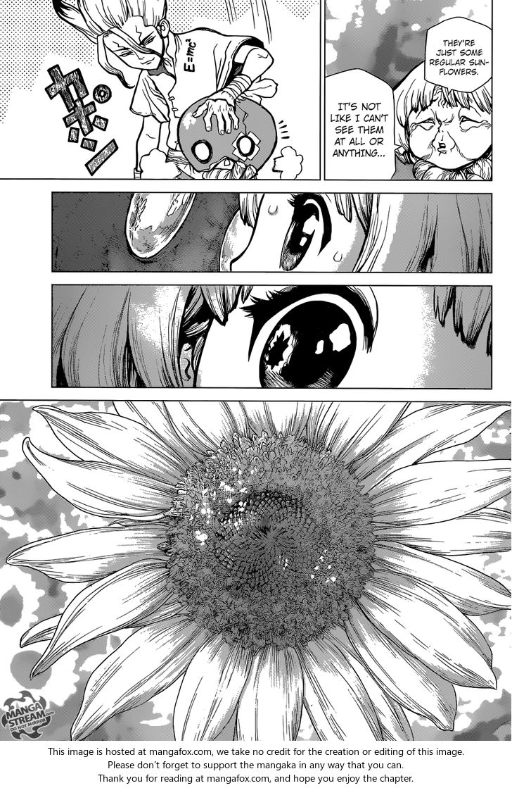 Dr. Stone Chapter 028 page 14