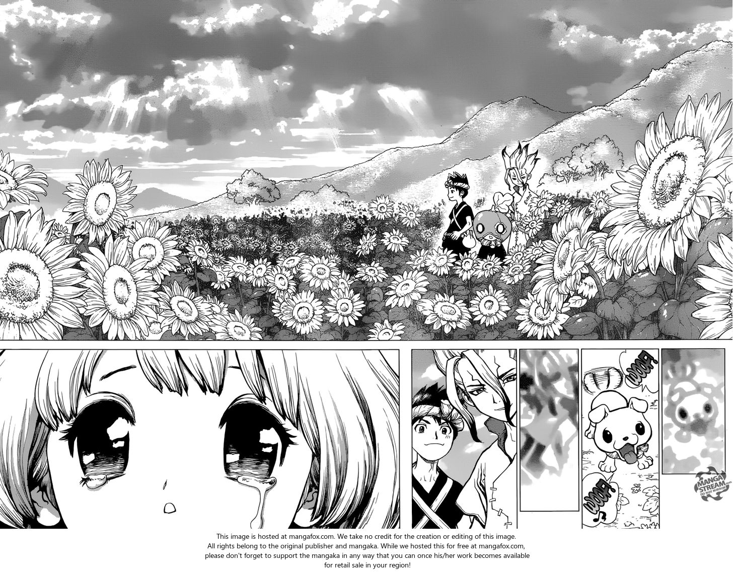 Dr. Stone Chapter 028 page 15