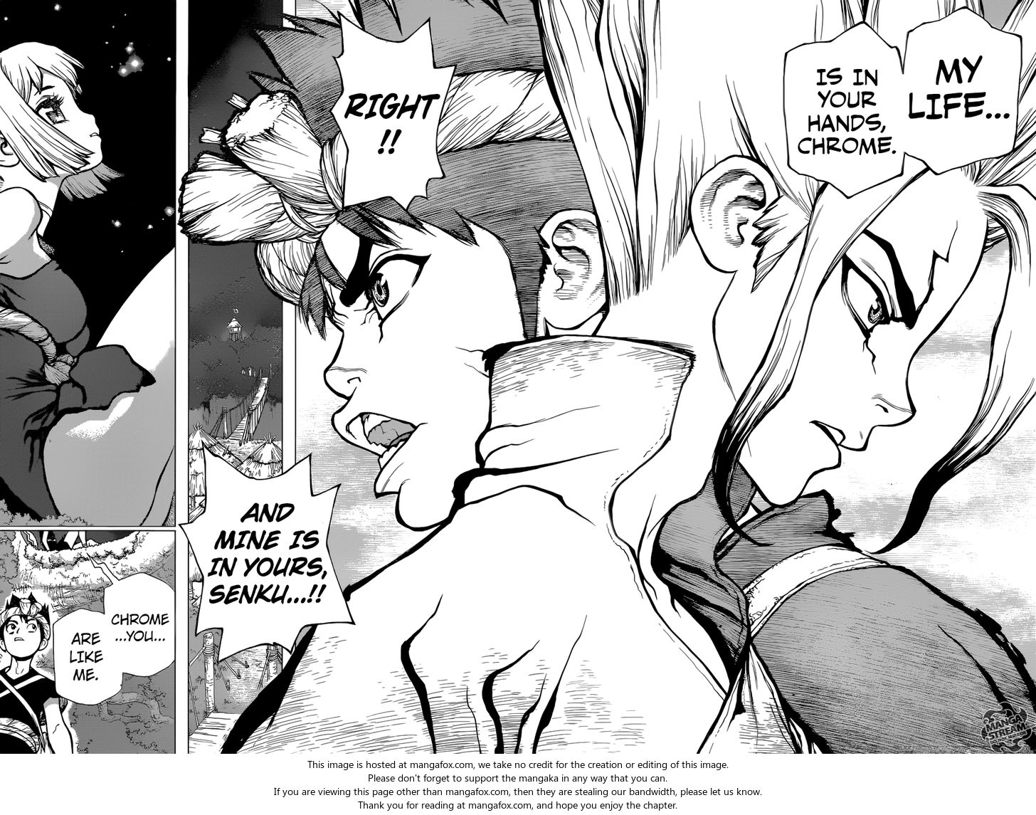 Dr. Stone Chapter 031 page 15