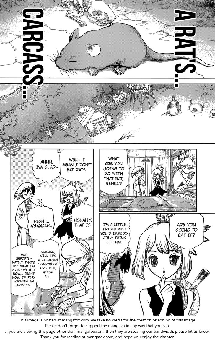 Dr. Stone Chapter 041 page 5