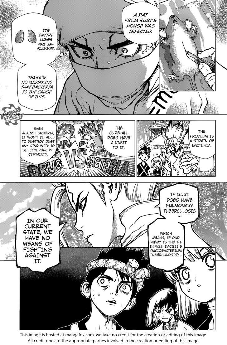 Dr. Stone Chapter 041 page 6