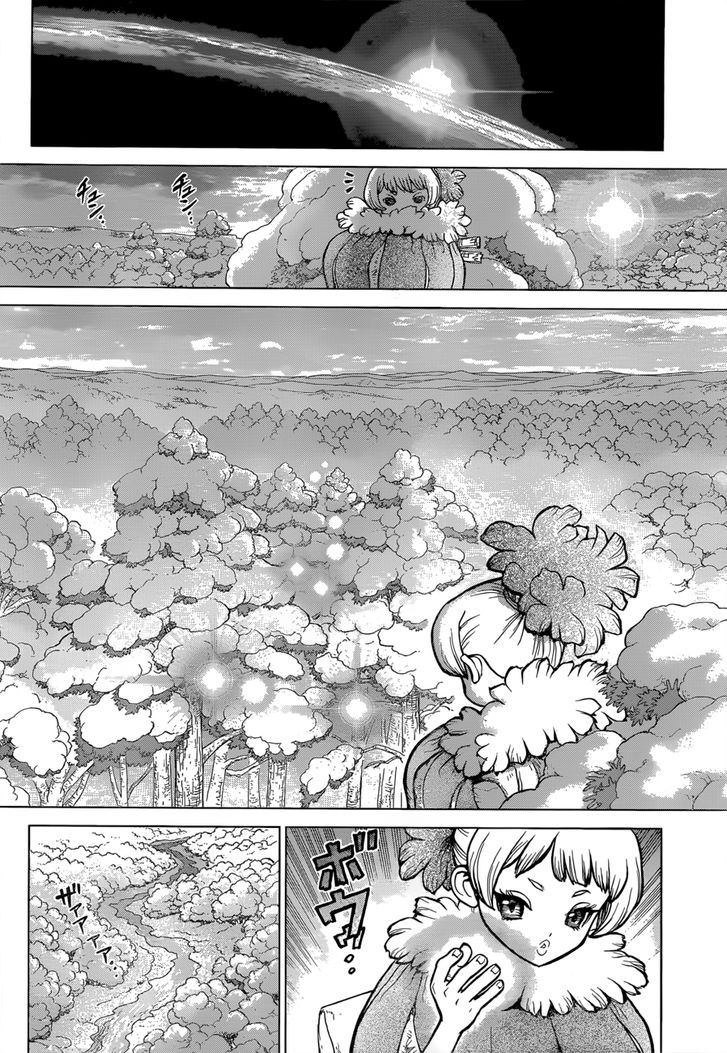 Dr. Stone Chapter 063 page 12