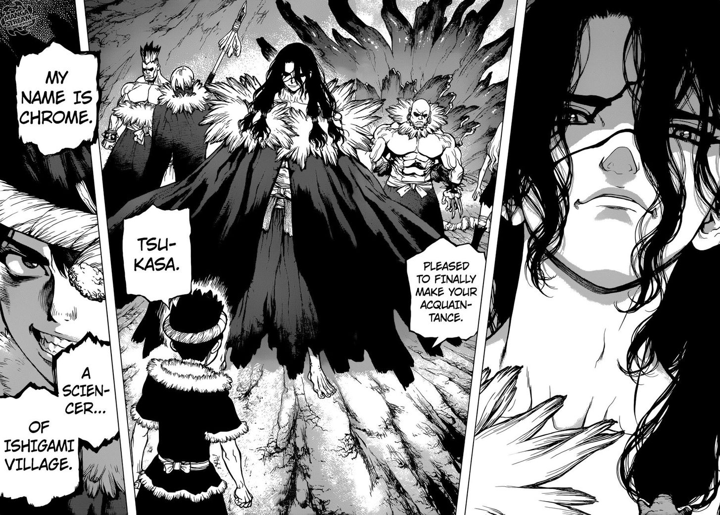 Dr. Stone Chapter 067 page 14