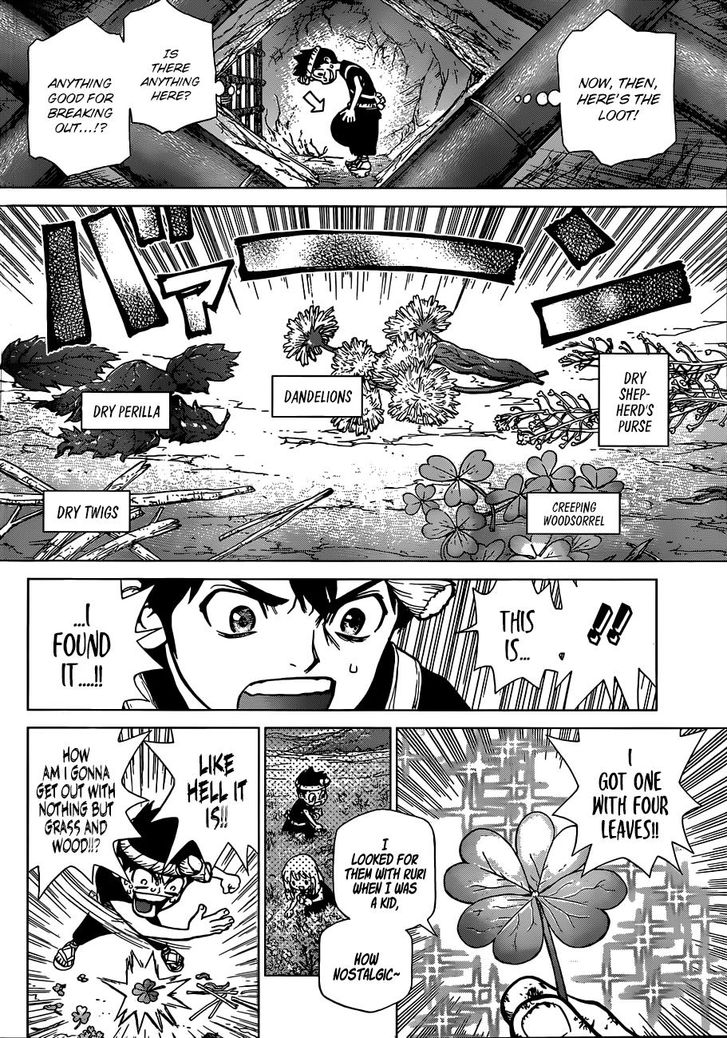 Dr. Stone Chapter 071 page 8