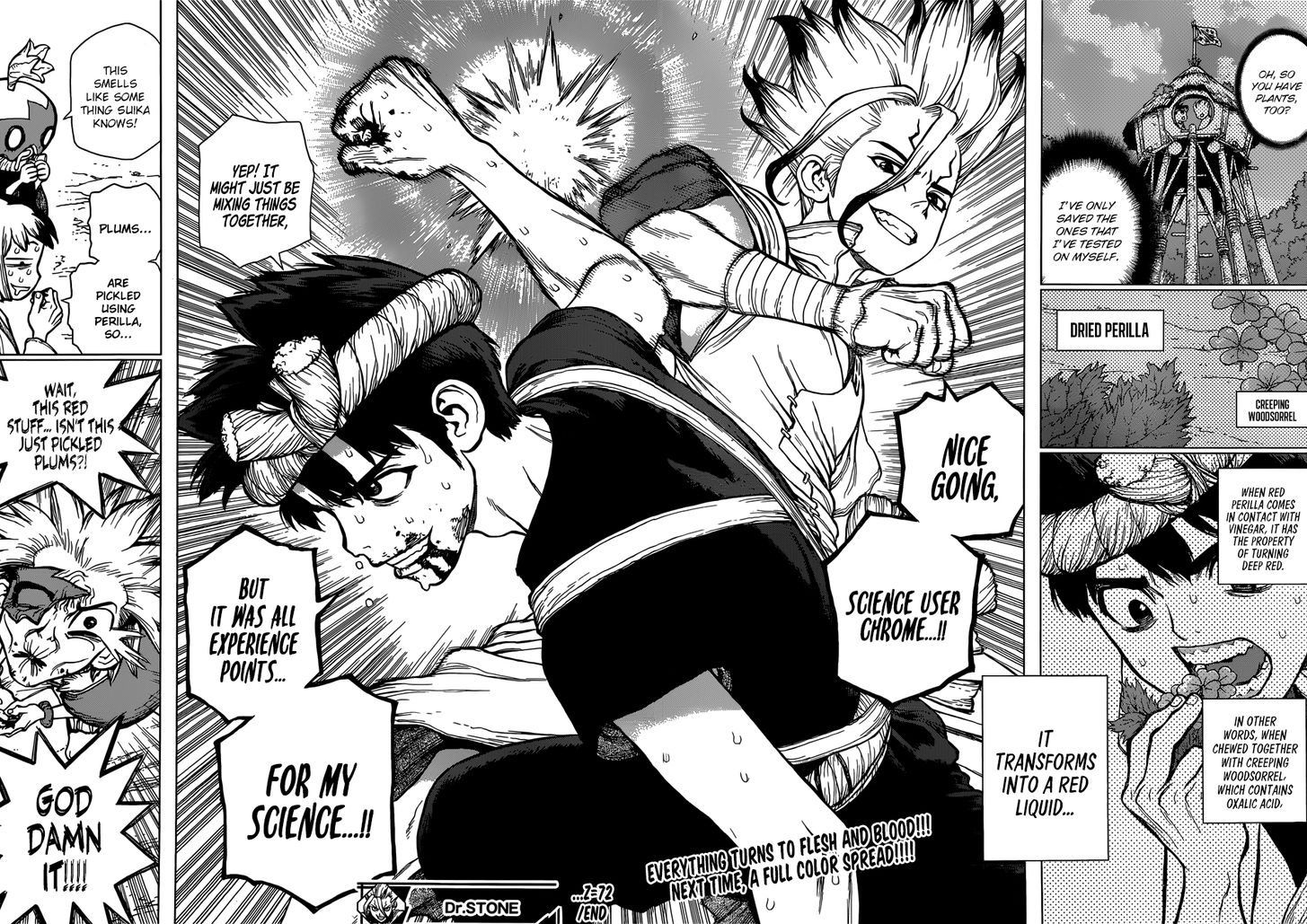 Dr. Stone Chapter 072 page 17