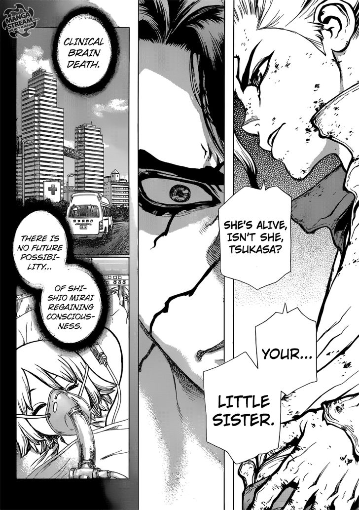 Dr. Stone Chapter 078 page 10