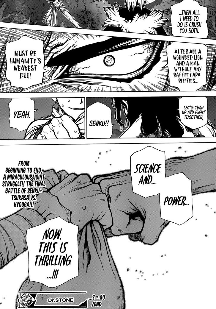 Dr. Stone Chapter 080 page 19