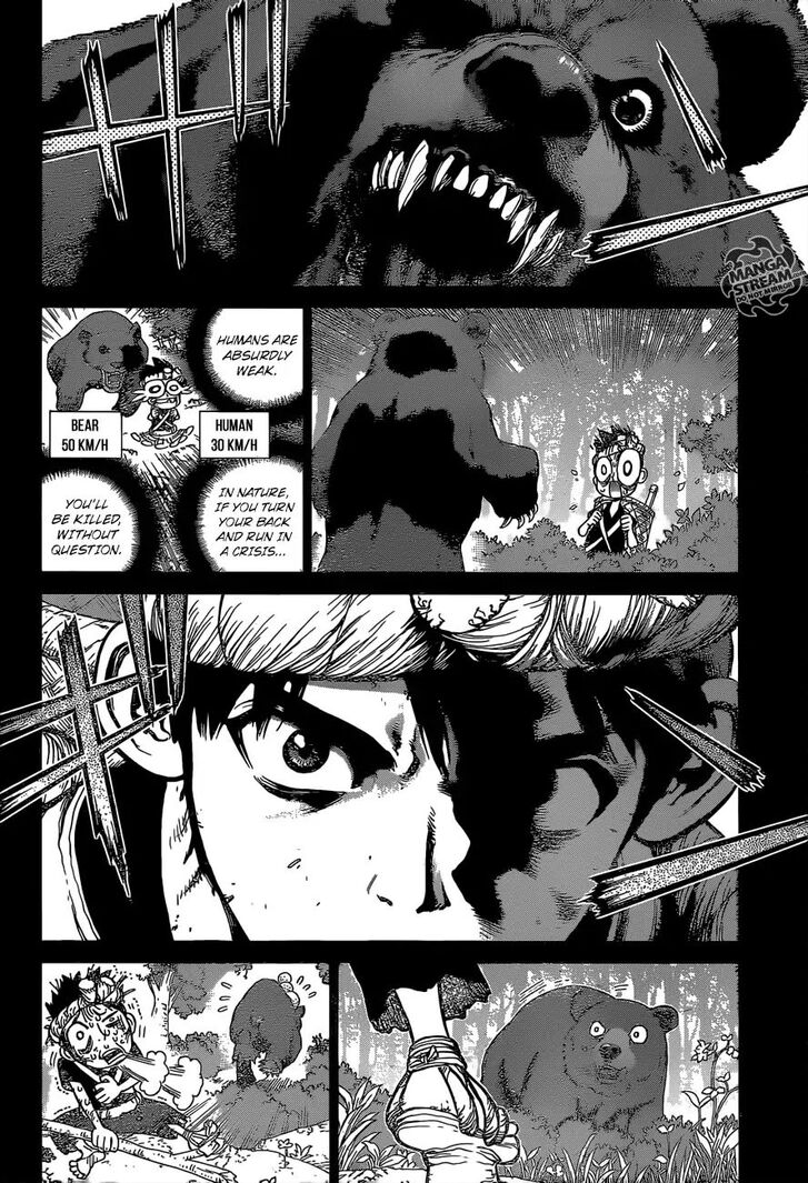 Dr. Stone Chapter 089 page 12