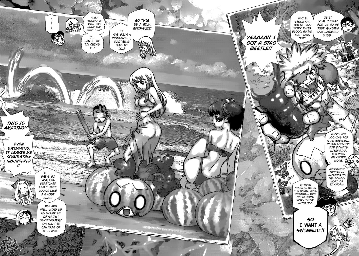 Dr. Stone Chapter 099 page 12