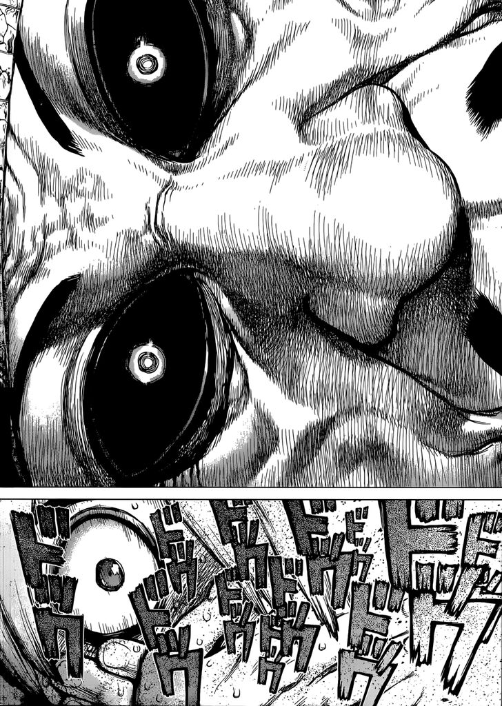 Dr. Stone Chapter 108 page 17