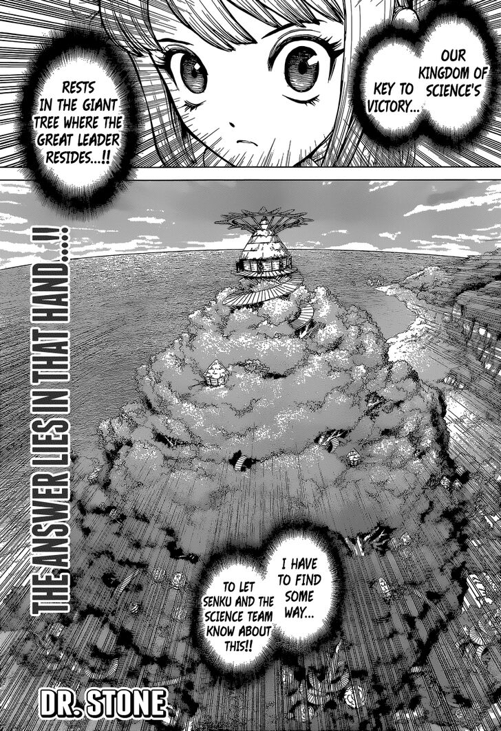 Dr. Stone Chapter 113 page 1