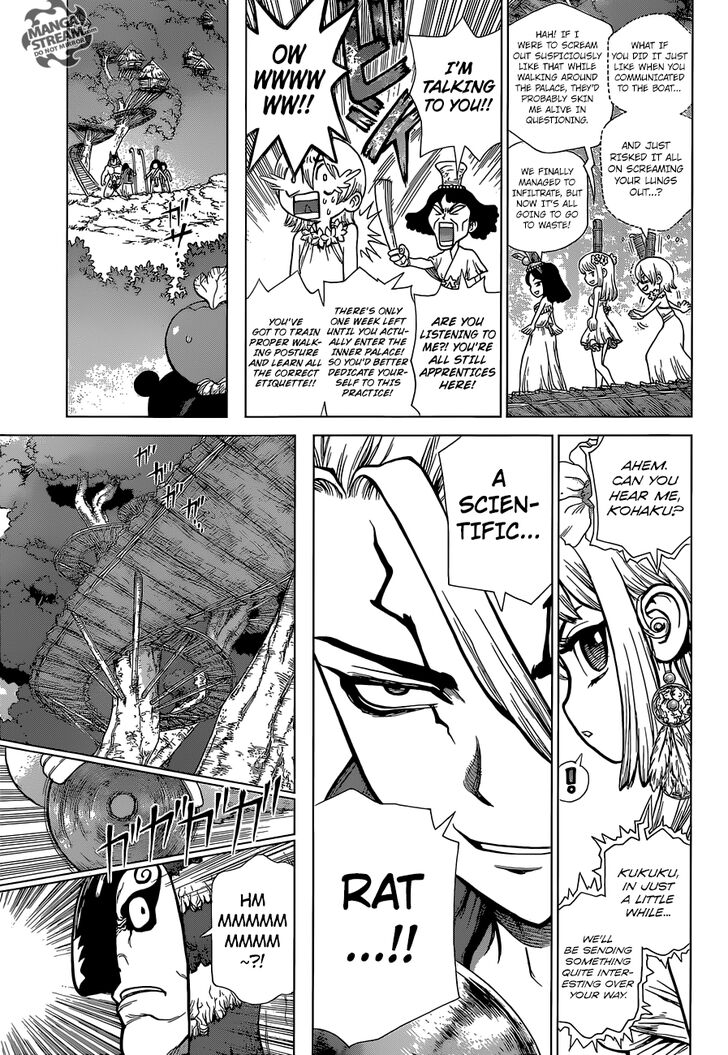 Dr. Stone Chapter 113 page 4