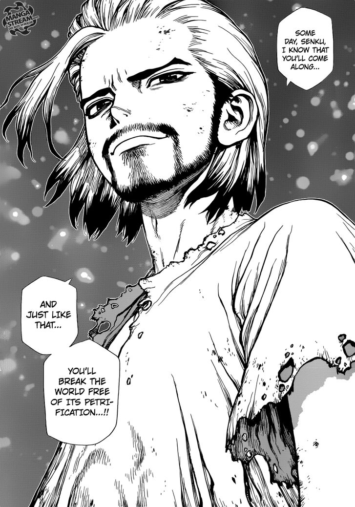 Dr. Stone Chapter 114 page 19