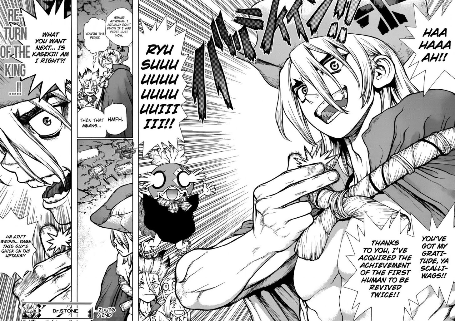 Dr. Stone Chapter 116 page 17