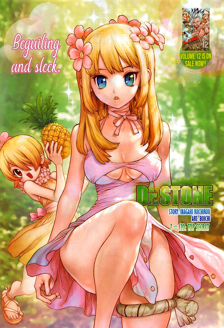 Dr. Stone Chapter 120 page 2