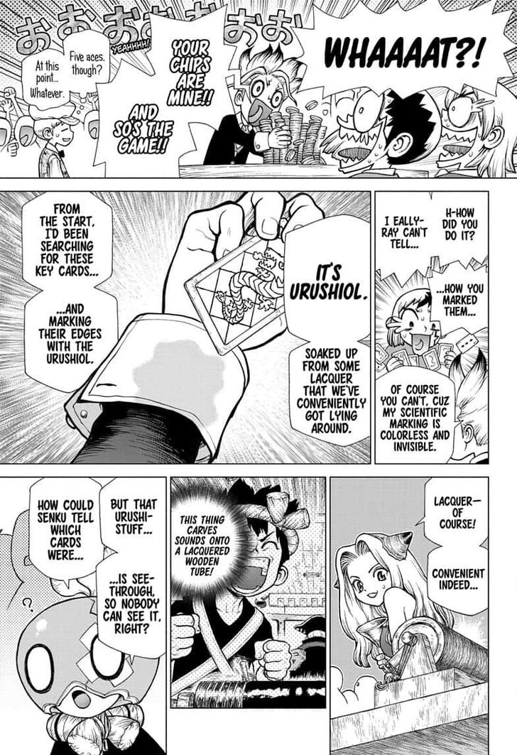 Dr. Stone Chapter 144 page 17