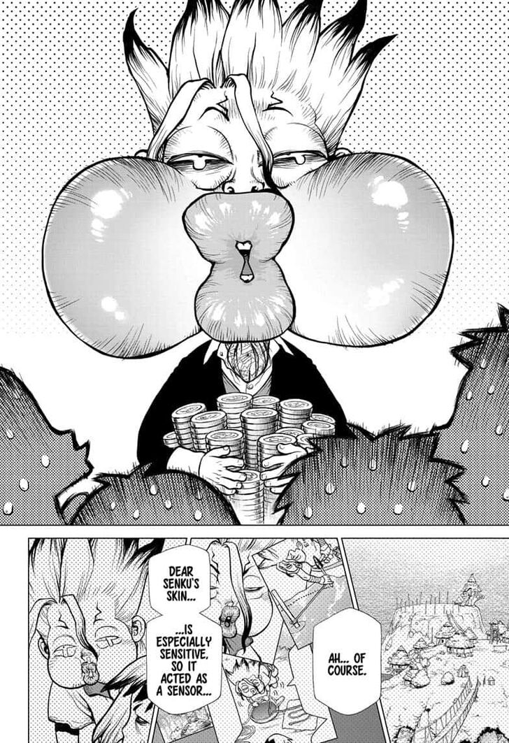Dr. Stone Chapter 144 page 19