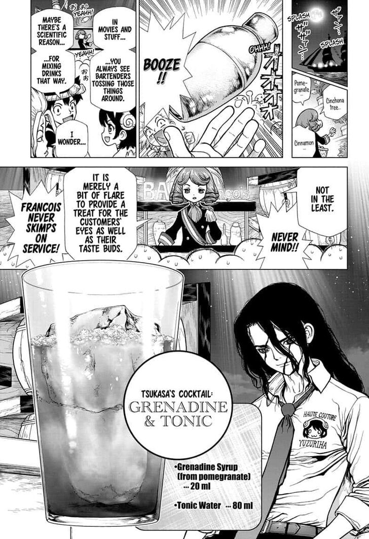 Dr. Stone Chapter 145 page 11