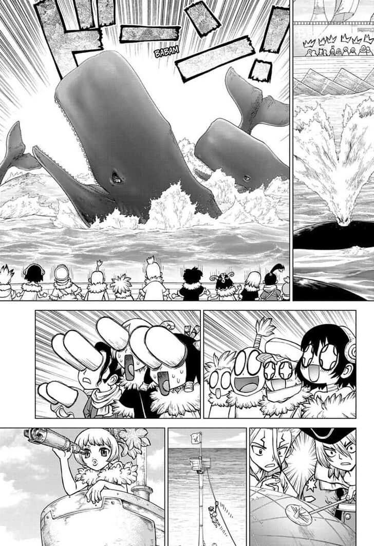 Dr. Stone Chapter 147 page 17