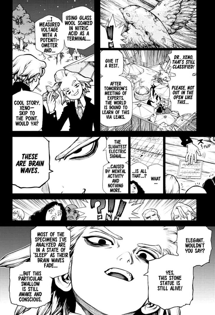 Dr. Stone Chapter 157 page 8