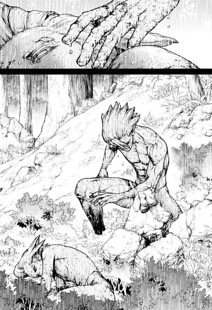 Dr. Stone Chapter 157 page 14