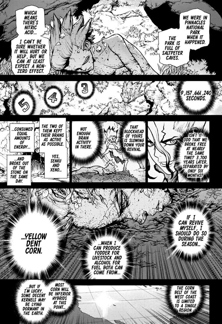 Dr. Stone Chapter 157 page 15