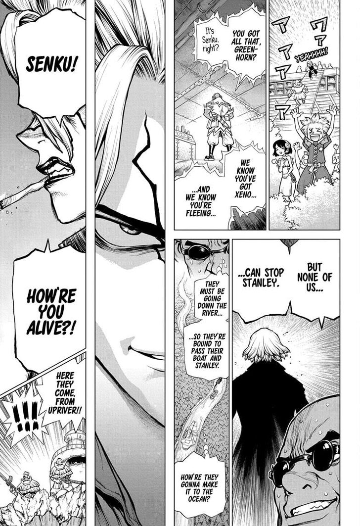 Dr. Stone Chapter 169 page 7