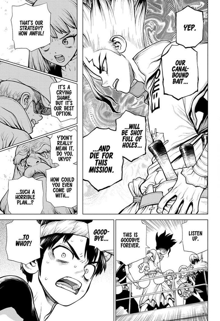 Dr. Stone Chapter 174 page 8