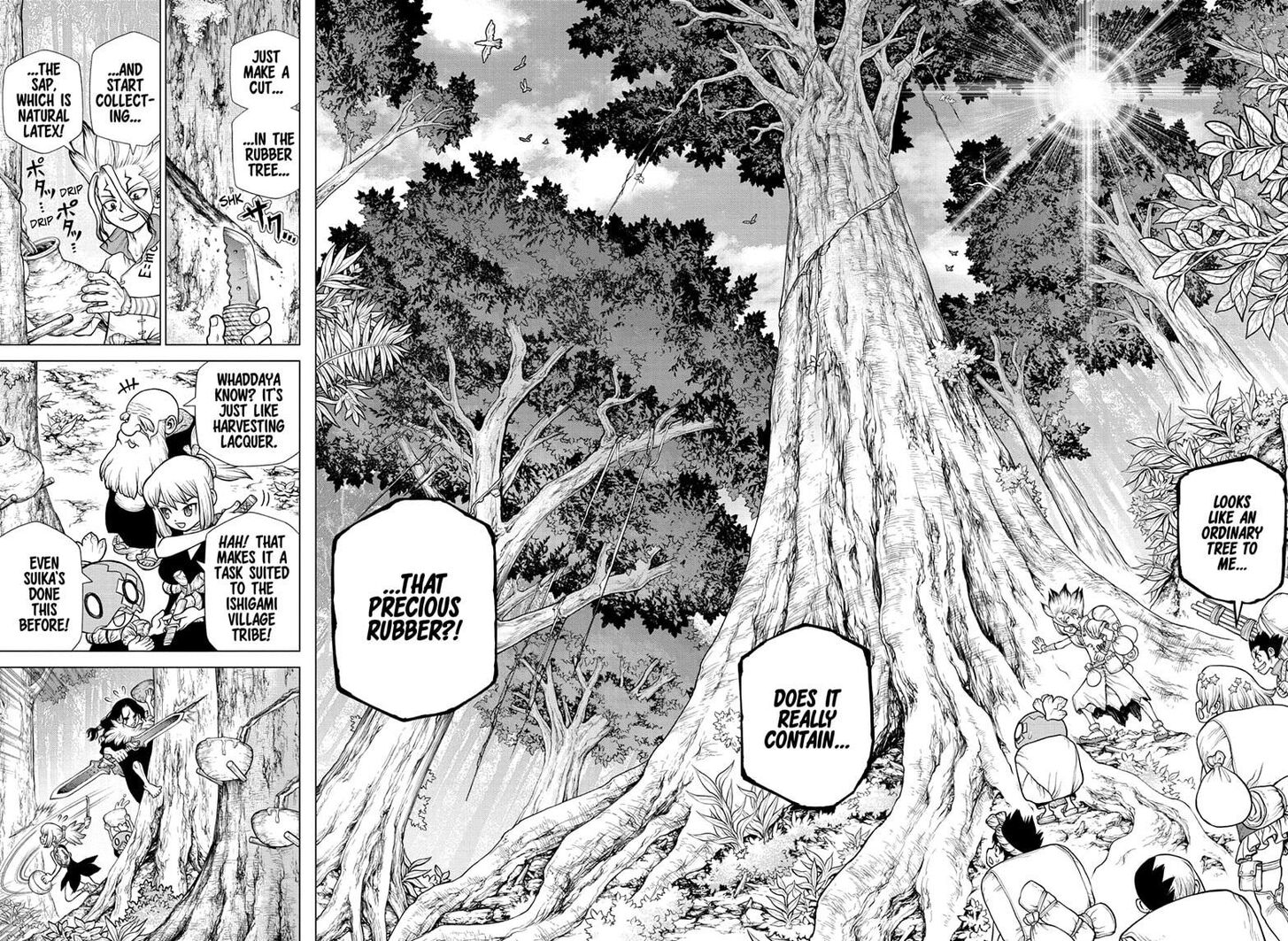 Dr. Stone Chapter 174 page 12