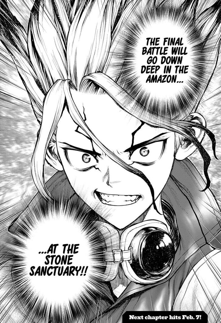 Dr. Stone Chapter 183 page 17
