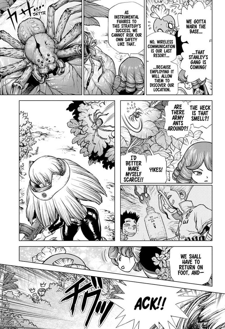 Dr. Stone Chapter 185 page 12