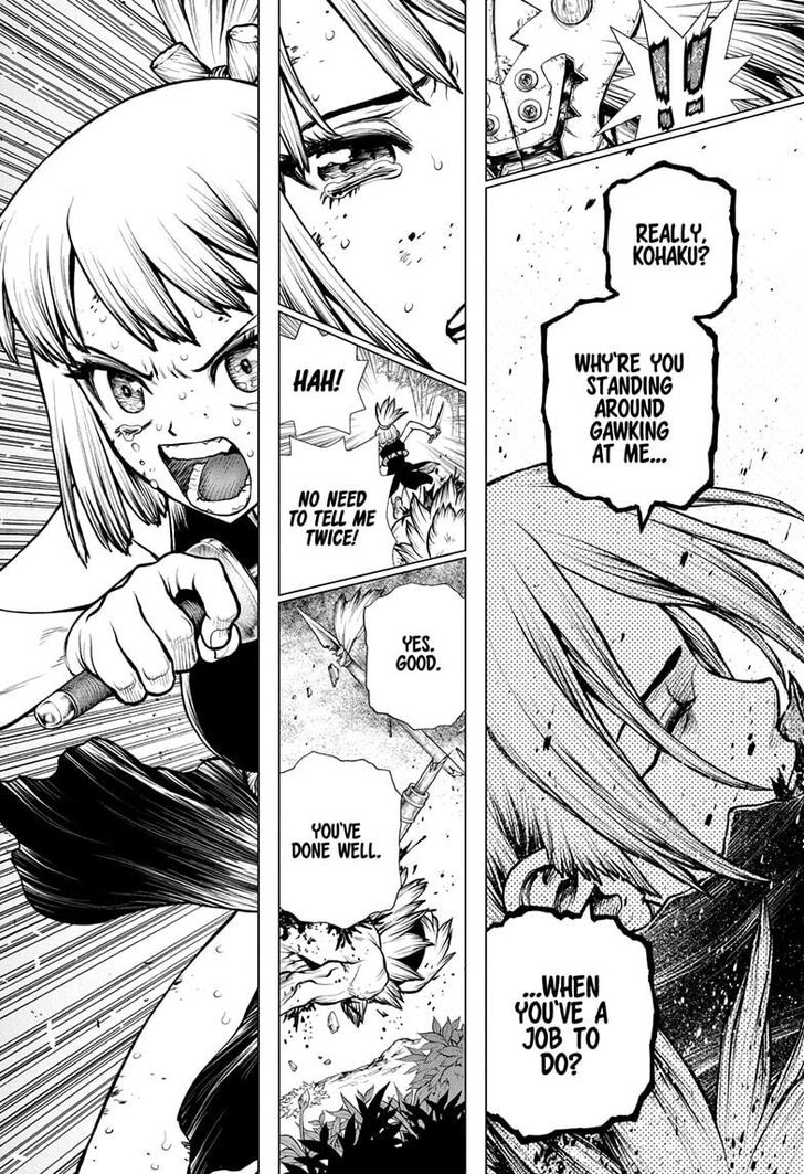 Dr. Stone Chapter 188 page 12