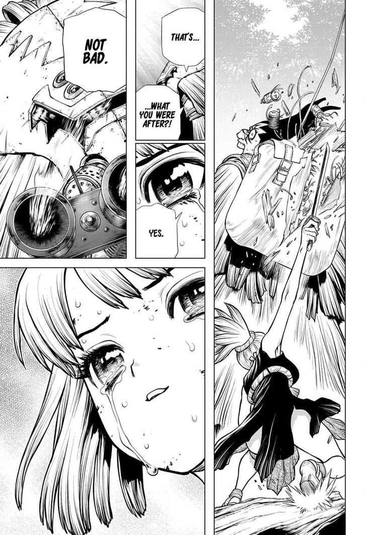 Dr. Stone Chapter 188 page 13