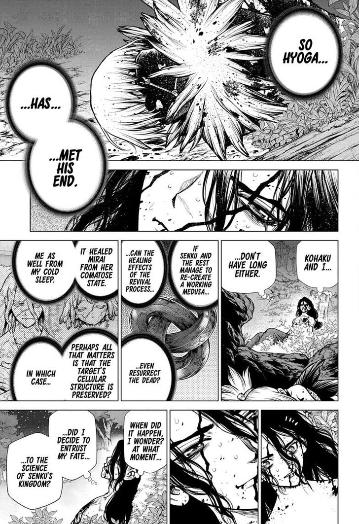 Dr. Stone Chapter 188 page 15